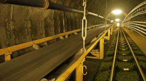 leyu乐鱼体育官网入口全站:AI赋能居家养老：郑州大学多学科学子暑期启动“脉享夕阳”项目破解老年血管健康管理难题